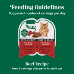 Nutro Natural Choice Beef Recipe Cuts in Gravy Wet Dog Food, photo 5