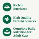 Nutro Natural Choice Beef Recipe Cuts in Gravy Wet Dog Food, photo 2