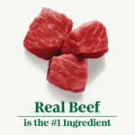 Nutro Tender Beef Recipe Wet Dog Food, photo 2