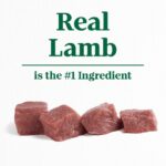 Nutro Limited Ingredient Diet Lamb & Potato Recipe Wet Dog Food, photo 2