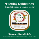 Nutro Natural Choice Signature Duck Entrée With Spring Vegetables and a Hint of Basil Filets in Gravy Wet Dog Food, photo 3
