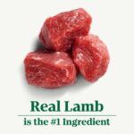 Nutro Savory Lamb, Carrot And Pea Recipe Wet Dog Food, photo 2