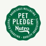 Nutro Savory Lamb, Carrot And Pea Recipe Wet Dog Food, photo 3