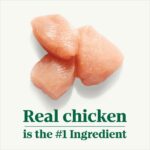 Nutro Puppy Tender Chicken, Sweet Potato & Pea Recipe Bites in Gravy Wet Dog Food, photo 2