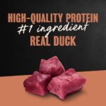 Cesar Classic Loaf in Sauce Duck Wet Dog Food, photo 3