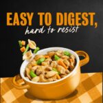 Cesar Home Delights Hearty Chicken & Noodle Dinner in Sauce Wet Dog Food, photo 4