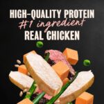 Cesar Warm Bowls Chicken & Beef With Vegetables Entrée Wet Dog Food, photo 3