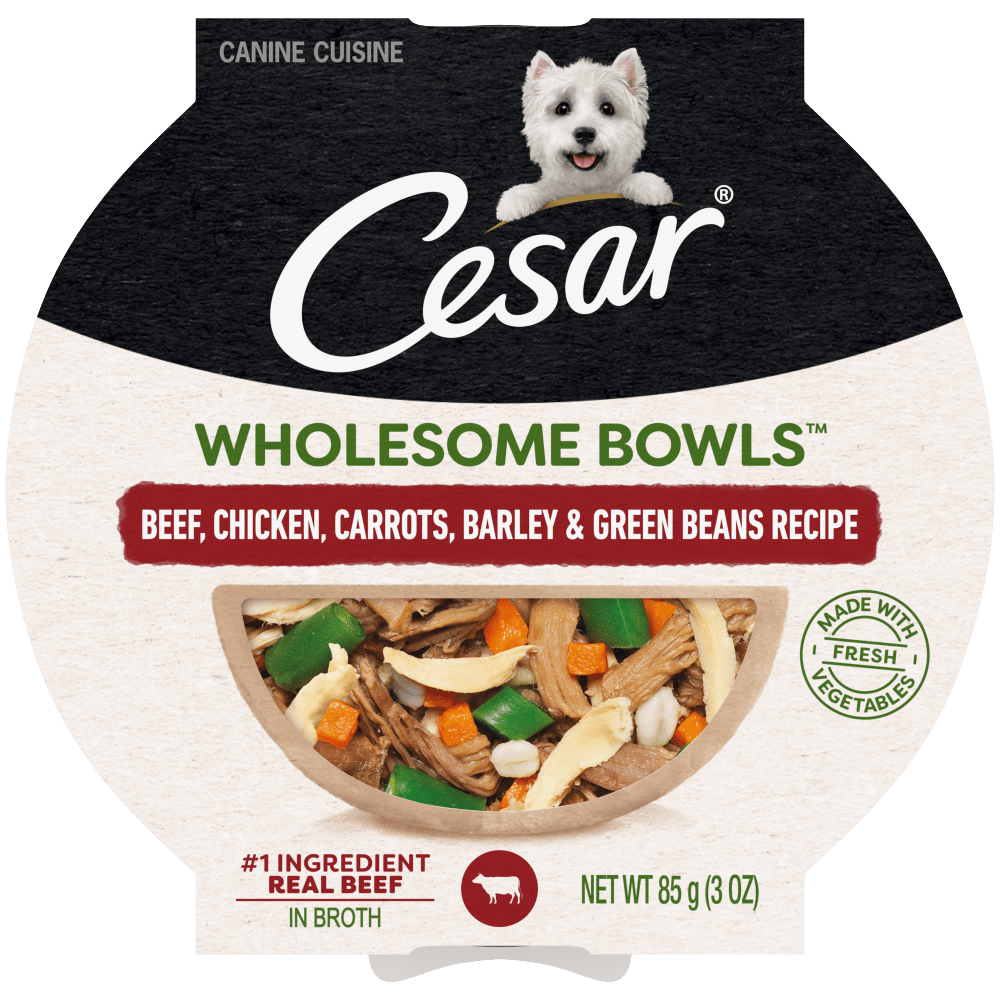 Cesar Wholesome Bowls Beef, Chicken, Carrots, Barley & Green Beans Wet Dog Food