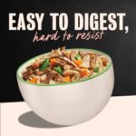 Cesar Wholesome Bowls Beef, Chicken, Carrots, Barley & Green Beans Wet Dog Food, photo 4