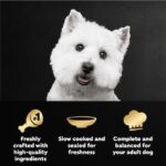 Cesar Mini Pouches Rotisserie Chicken Mini-Pouch Wet Dog Food, photo 3