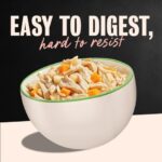Cesar Wholesome Bowls Chicken, Apple & Sweet Potato Wet Dog Food, photo 5