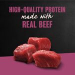 Cesar Filets in Gravy Prime Rib Wet Dog Food, photo 2