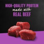 Cesar Filets in Gravy Filet Mignon Wet Dog Food, photo 2