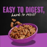 Cesar Filets in Gravy Filet Mignon Wet Dog Food, photo 4