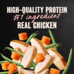 Cesar Wholesome Bowls Chicken, Sweet Potatoes & Green Beans Wet Dog Food, photo 2