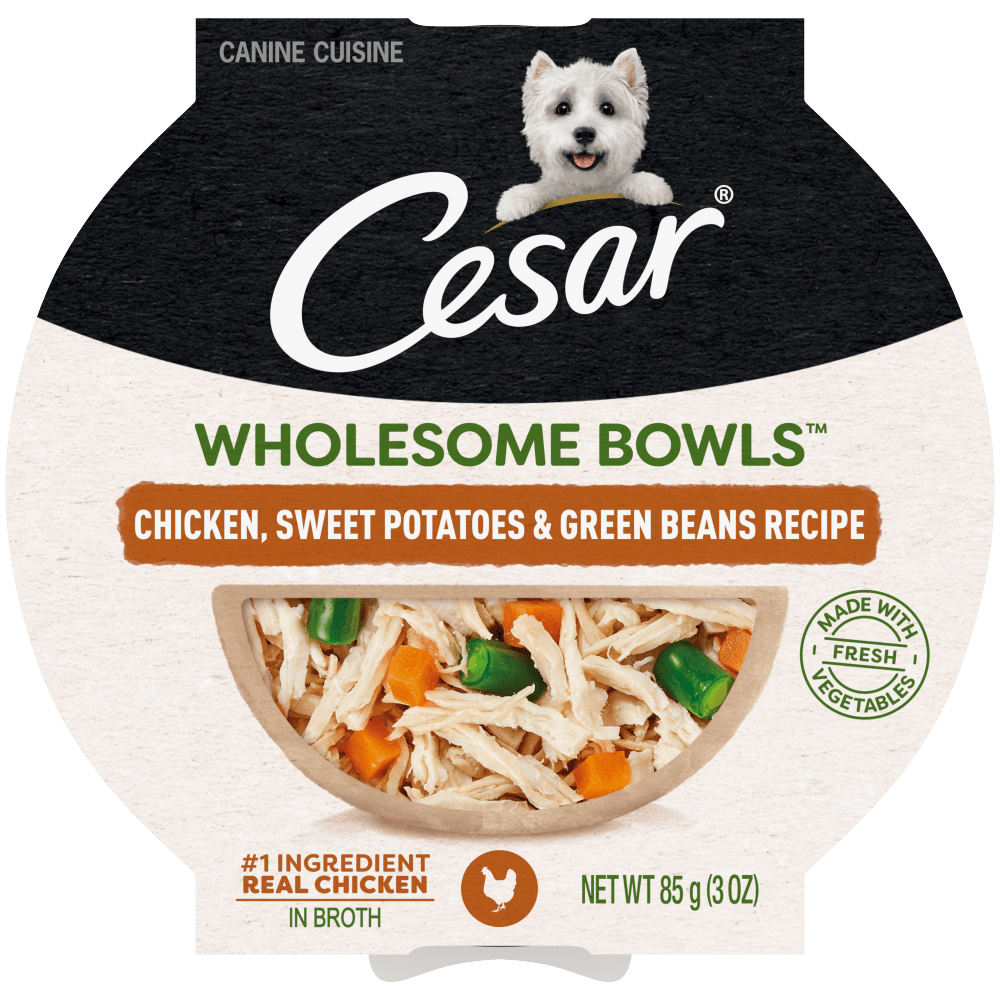 Cesar Wholesome Bowls Chicken, Sweet Potatoes & Green Beans Wet Dog Food