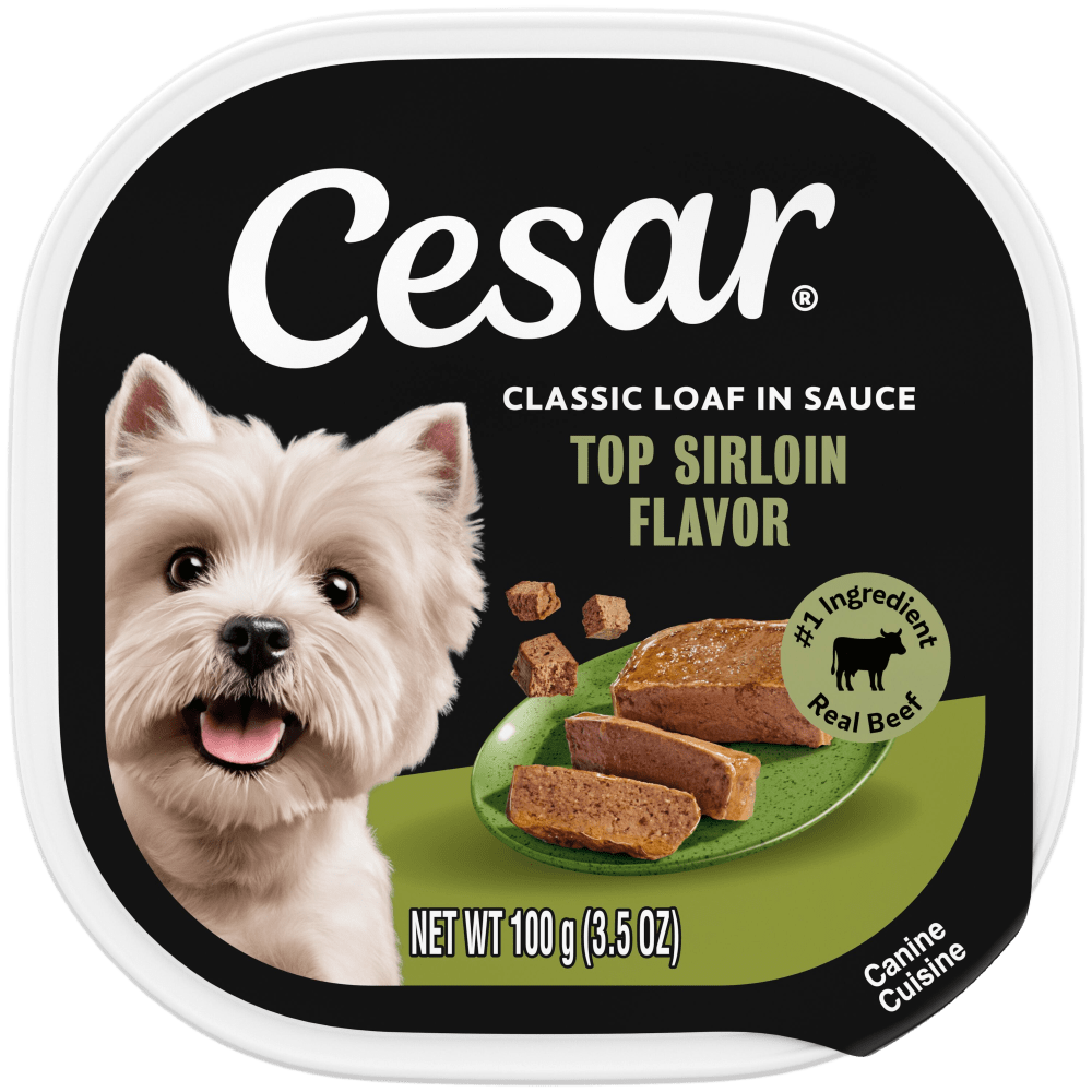 Cesar Classic Loaf in Sauce Top Sirloin Wet Dog Food
