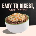 Cesar Wholesome Meals Chicken, Carrots, Barley & Green Beans Wet Dog Food, photo 4