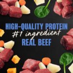 Cesar Home Delights Pot Roast with Spring Vegetables Dinner Wet Dog Food, photo 2