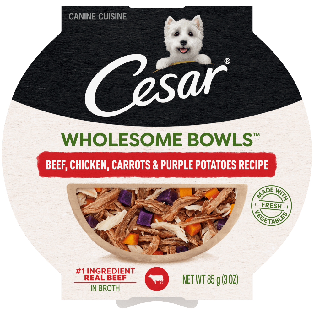 Cesar Wholesome Bowls Beef, Chicken, Carrots & Purple Potatoes Wet Dog Food