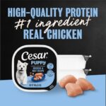 Cesar Classic Loaf in Sauce Puppy - Chicken & Beef Wet Dog Food, photo 2