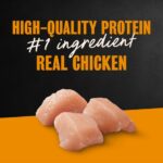 Cesar Filets in Gravy Rotisserie Chicken Wet Dog Food, photo 2