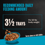 Cesar Filets in Gravy New York Strip Wet Dog Food, photo 7