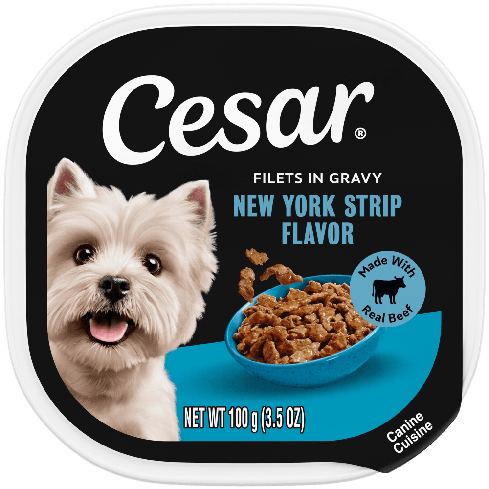 Cesar Filets in Gravy New York Strip Wet Dog Food