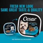 Cesar Filets in Gravy New York Strip Wet Dog Food, photo 5