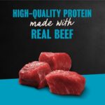 Cesar Filets in Gravy New York Strip Wet Dog Food, photo 2