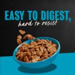 Cesar Filets in Gravy New York Strip Wet Dog Food, photo 4