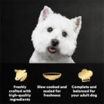 Cesar Mini Pouches Filets in Gravy Angus Beef Mini-Pouch Wet Dog Food, photo 3