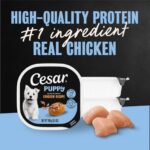 Cesar Puppy Filets in Gravy Puppy Food, Chicken Recipe Wet Dog Food, photo 2