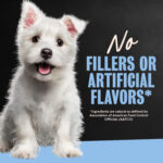 Cesar Puppy Filets in Gravy Puppy Food, Chicken Recipe Wet Dog Food, photo 6