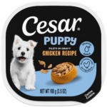 Cesar Puppy Filets in Gravy Puppy Food, Chicken Recipe Wet Dog Food