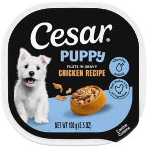 Cesar Puppy Filets in Gravy Puppy Food, Chicken Recipe Wet Dog Food