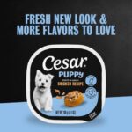 Cesar Puppy Filets in Gravy Puppy Food, Chicken Recipe Wet Dog Food, photo 5