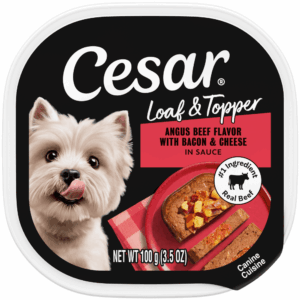 Cesar Loaf & Topper in Sauce Angus Beef with Bacon & Cheese Wet Dog Food
