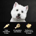 Cesar Simply Crafted Chicken, Duck, Purple Potatoes, Pumpkin, Green Beans & Brown Rice Dog Food Topper, photo 3