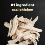 Cesar Simply Crafted Chicken, Duck, Purple Potatoes, Pumpkin, Green Beans & Brown Rice Dog Food Topper, photo 2