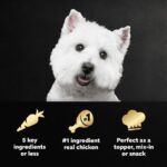 Cesar Simply Crafted Adult Chicken Dog Food Topper, photo 3
