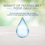 Blue Freedom Grain Free Chicken Recipe Wet Dog Food, photo 5