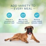 Blue Freedom Grain Free Chicken Recipe Wet Dog Food, photo 3