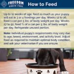 Blue Freedom Puppy Grain Free Chicken Recipe Wet Dog Food, photo 2