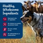 Blue’s Stew Hearty Beef Wet Dog Food, photo 5