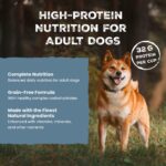 Blue Wilderness Beef Chicken Grill Wet Dog Food, photo 4