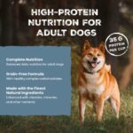 Blue Wilderness - Chicken & Salmon Grill Wet Dog Food, photo 4