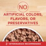 Purina ONE Vibrant Maturity Turkey & Barley Wet Dog Food, photo 3