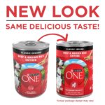 Purina ONE Beef & Brown Rice Wet Dog Food, photo 2