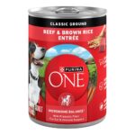 Purina ONE Beef & Brown Rice Wet Dog Food